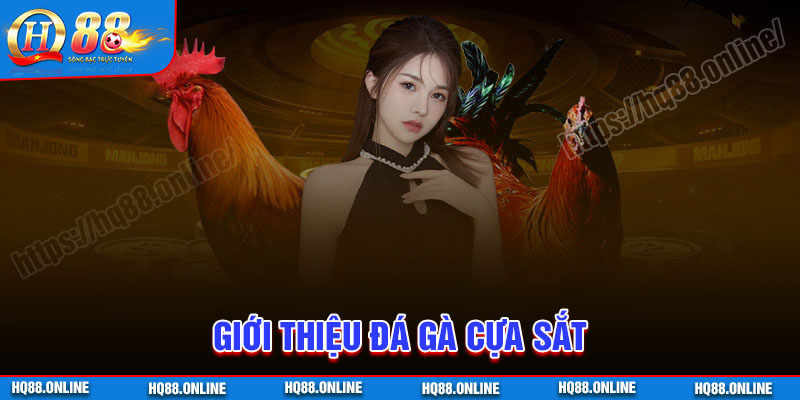 Giới thiệu về Đá gà cựa sắt HQ88