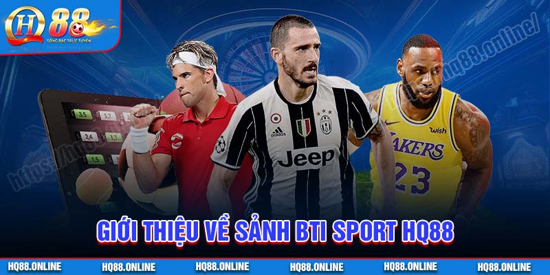 Giới thiệu về sảnh thể thao BTI Sport HQ88