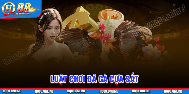 Luật chơi Đá gà cựa sắt cơ bản chi tiết nhất