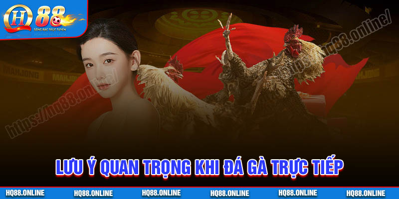 Lưu ý quan trọng khi chơi Đá gà