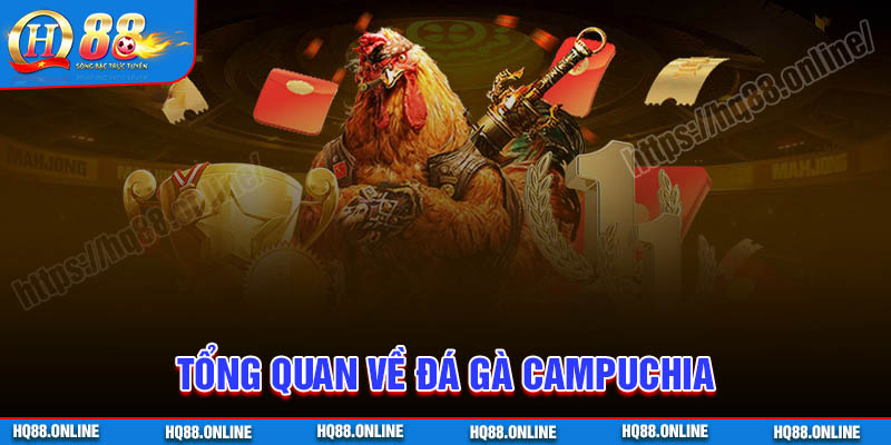 Tổng quan về Đá gà Campuchia